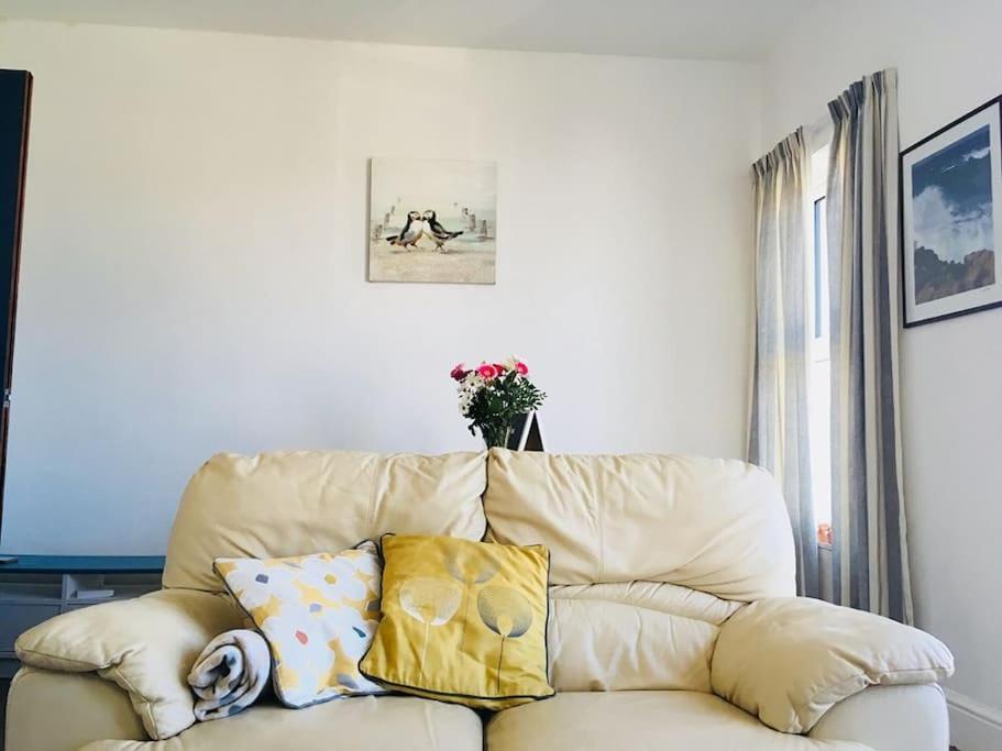 Hillcrest Cottage, Comfy Flat, Trendy Uplands Area Swansea Eksteriør bilde