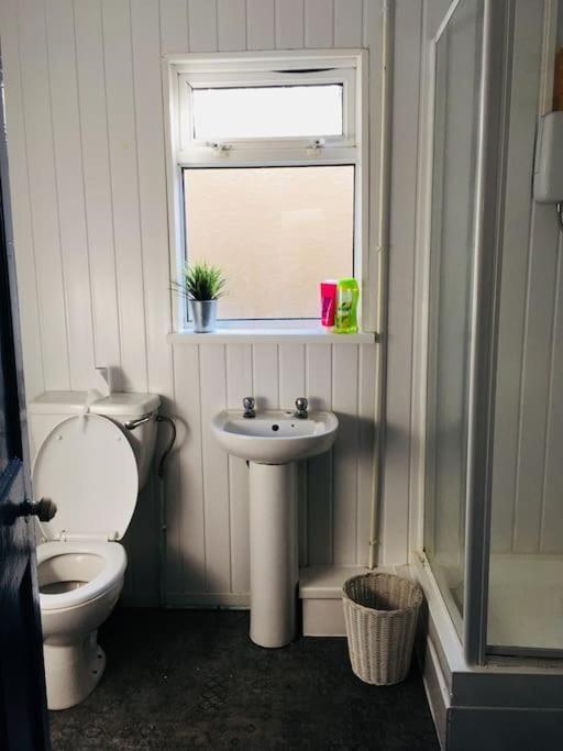 Hillcrest Cottage, Comfy Flat, Trendy Uplands Area Swansea Eksteriør bilde